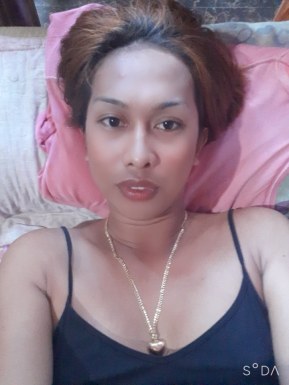 Thai ladyboys for dating / Ladyboys from Philippines for dating