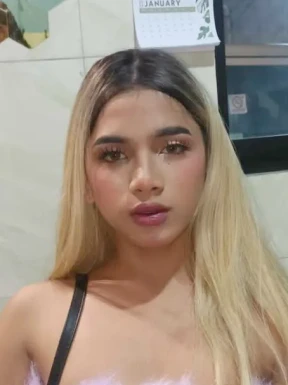 Thai ladyboys for dating / Ladyboys from Philippines for dating