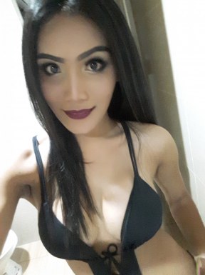 Thai ladyboys for dating / Ladyboys from Philippines for dating