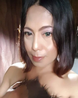Thai ladyboys for dating / Ladyboys from Philippines for dating