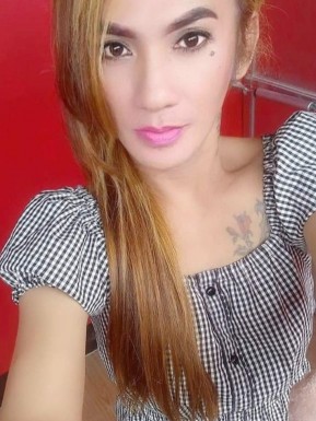 Thai ladyboys for dating / Ladyboys from Philippines for dating